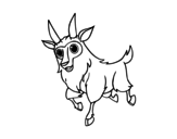 Dibujo de Cabra macho para colorear