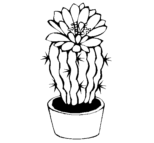 Dibujo de Cactus con flor para Colorear
