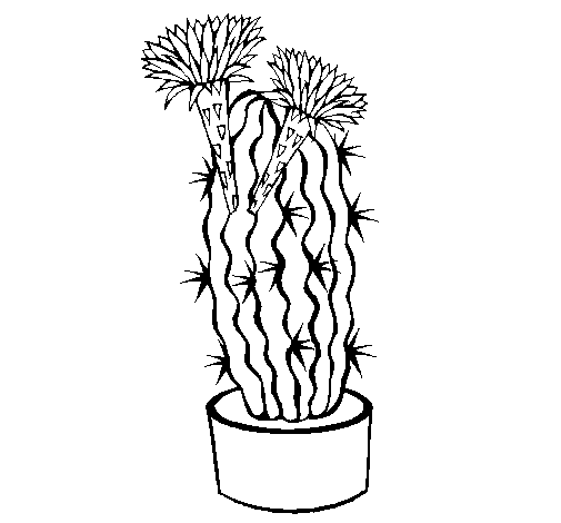 Dibujo de Cactus con flores para Colorear 