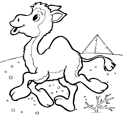 Dibujo de Camello 1 para Colorear