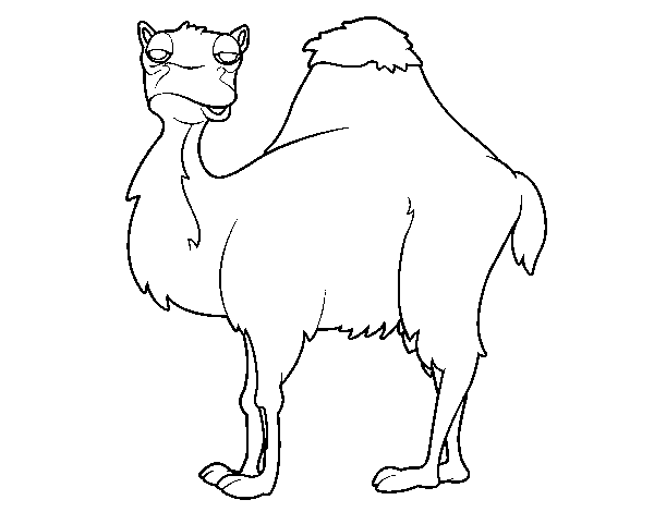Dibujo de Camello aburrido para Colorear