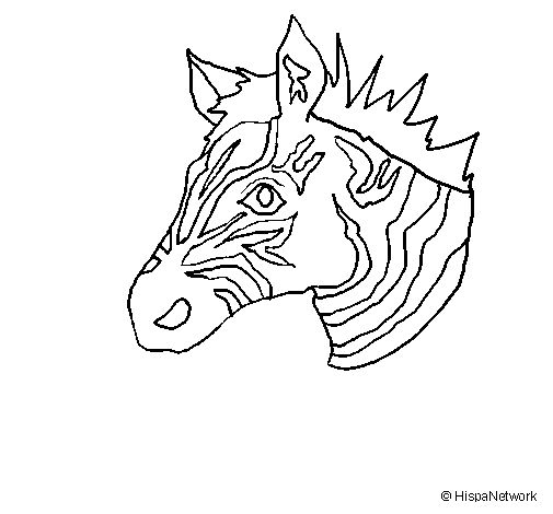 Dibujo de Cebra II para Colorear