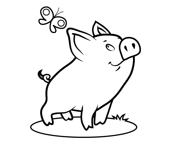 Dibujo De Cerdito Y Mariposa Para Colorear Dibujos Net