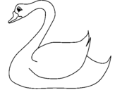 Dibujo de Cisne 1 para colorear