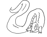 Dibujo de Cocodrilo con larga cola para colorear