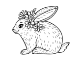 Dibujo de Conejo primaveral para colorear