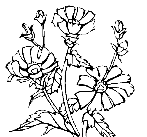 Dibujo de Conjunto floral para Colorear