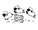 Dibujo de Contar ovejas para colorear