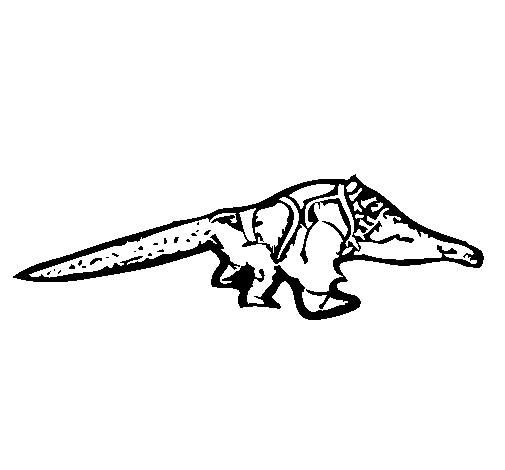 Dibujo de Crocodile para Colorear