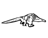 Dibujo de Crocodile para colorear