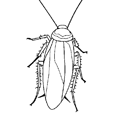 Dibujo de Cucaracha 1 para Colorear