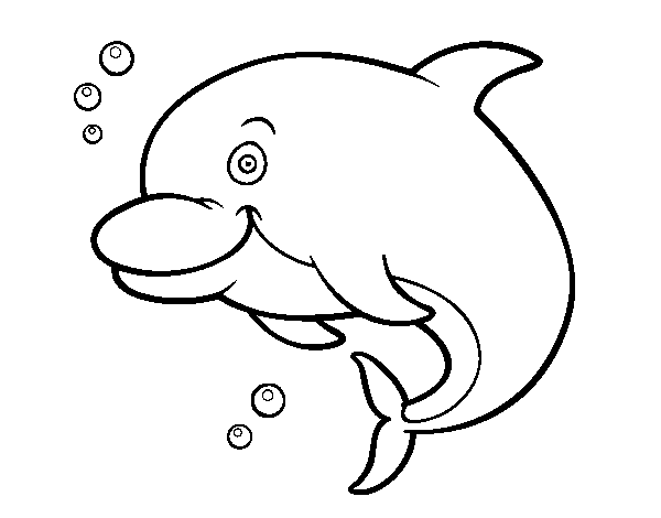 Dibujo de Delfín bufeo para Colorear