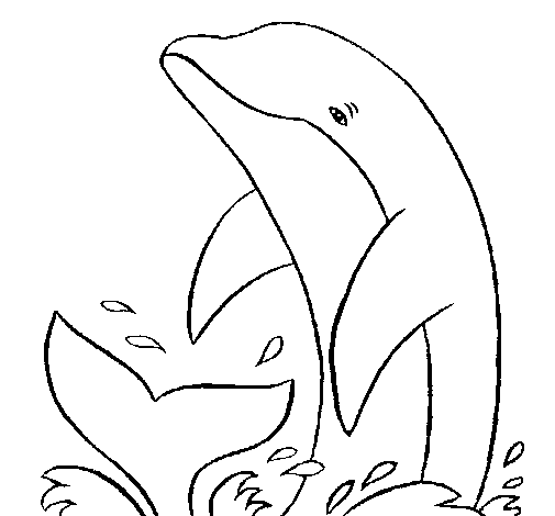 Dibujo de Delfín chapoteando para Colorear