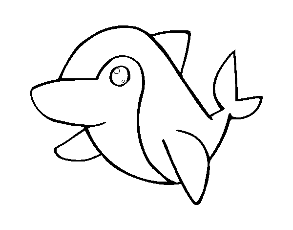 Dibujo de Delfín común para Colorear