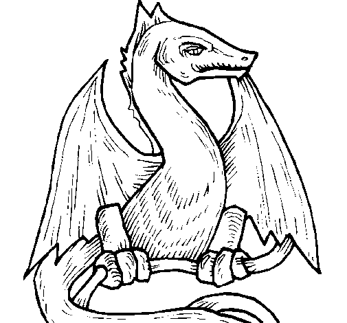 Dibujo de Dragón 2 para Colorear