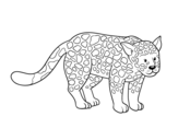 Dibujo de El guepardo para colorear