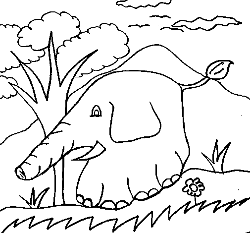 Dibujo de Elefante 5 para Colorear