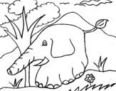 Dibujo de Elefante 5 para colorear