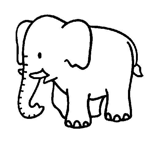 Dibujo de Elefante bebe para Colorear 
