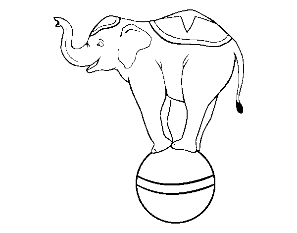 Dibujo de Elefante equilibrista para Colorear