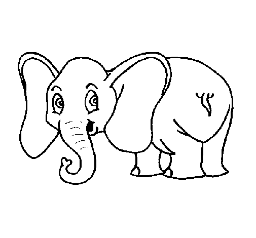Dibujo de Elefante pequeño para Colorear