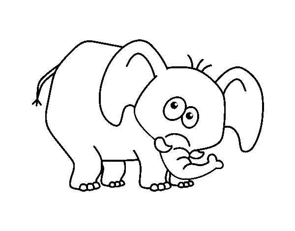 Dibujo de Elefante vergonzoso para Colorear