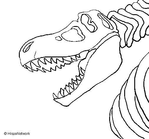 Dibujo de Esqueleto tiranosaurio rex para Colorear