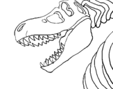 Dibujo de Esqueleto tiranosaurio rex para colorear