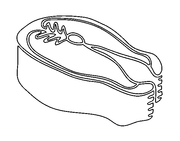 Dibujo de Filete de atún para Colorear