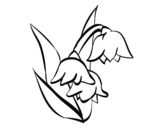 Dibujo de Flor de Brugmansia para colorear