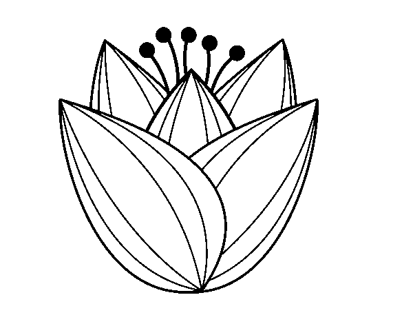 Dibujo de Flor de tulipán para Colorear