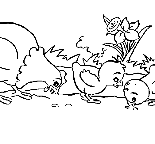 Dibujo de Gallina y pollitos para Colorear