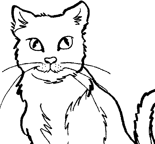 Dibujo de Gato 2 para Colorear
