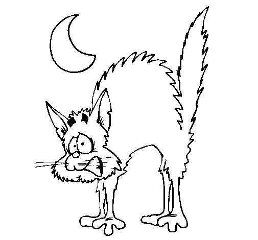 Dibujo de Gato asustado para Colorear