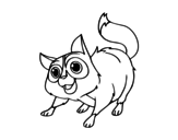 Dibujo de Gato callejero para colorear