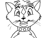 Dibujo de Gato con collar para colorear