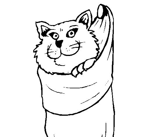 Dibujo de Gato dentro de una calcetín para Colorear