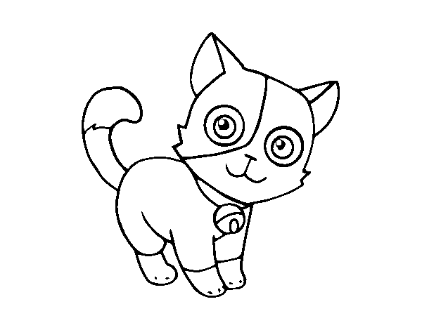 Dibujo de Gato doméstico para Colorear
