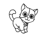 Dibujo de Gato doméstico para colorear