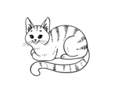 Dibujo de Gato joven para colorear