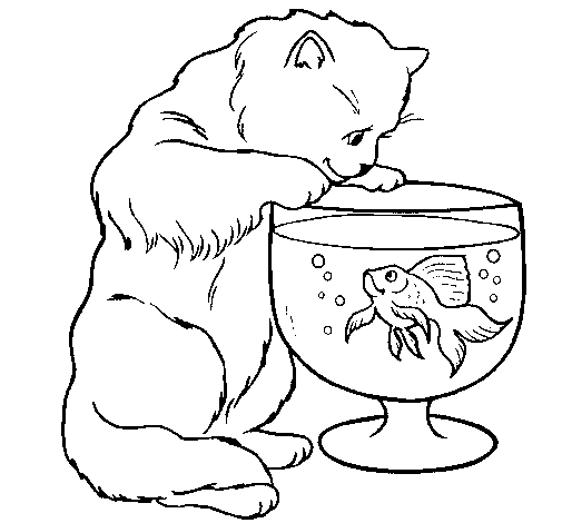 Dibujo de Gato mirando al pez para Colorear