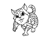 Dibujo de Gato montés para colorear