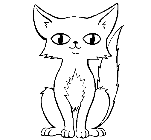 Dibujo de Gato persa para Colorear