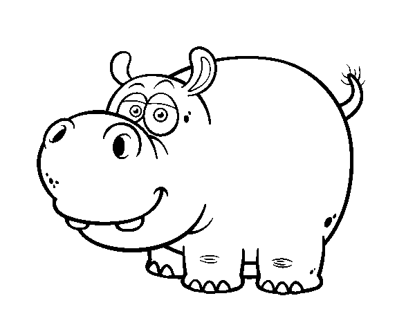 Dibujo de Hipopótamo común para Colorear