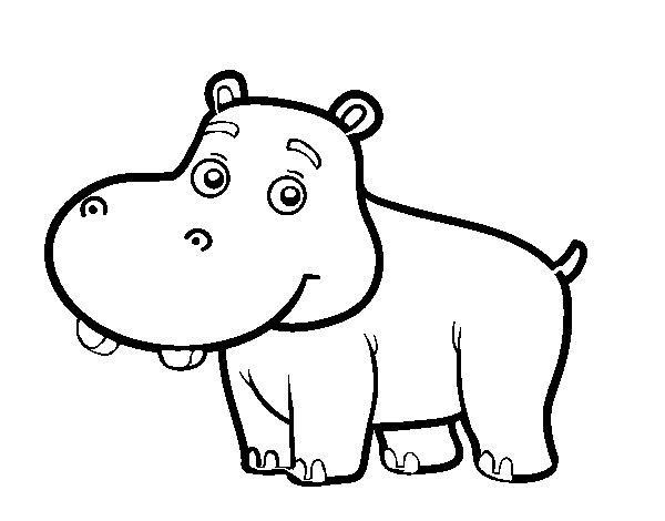 Dibujo de Hipopótamo joven para Colorear