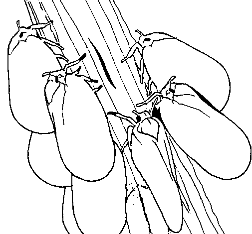 Dibujo de Insectos en un tronco para Colorear