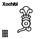 Dibujo de Los días aztecas: la flor Xochitl para colorear