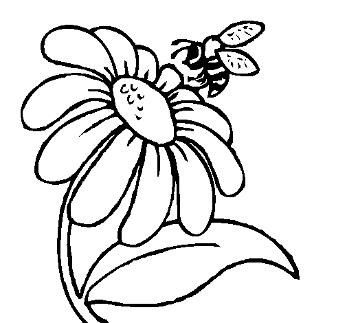 Dibujo de Margarita con abeja para Colorear