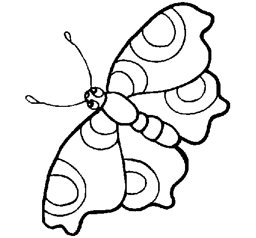 Dibujo de Mariposa 11 para Colorear
