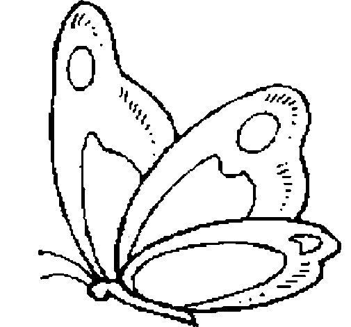 Dibujo de Mariposa 14 para Colorear